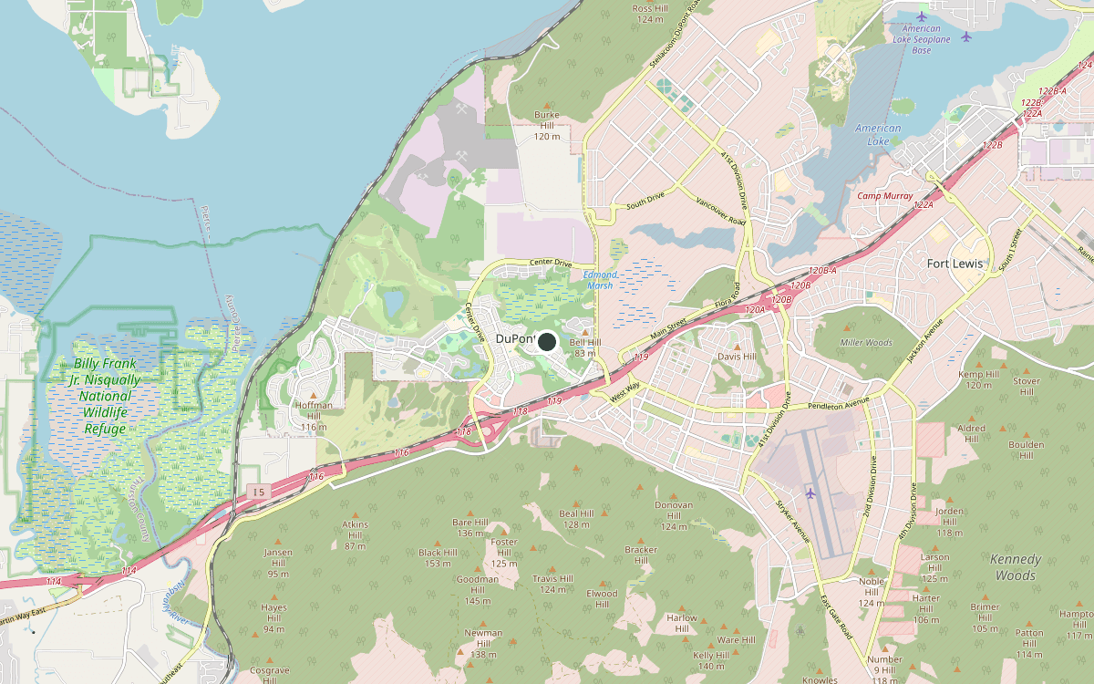Map of our chimney service area in DuPont, Pierce County, WA